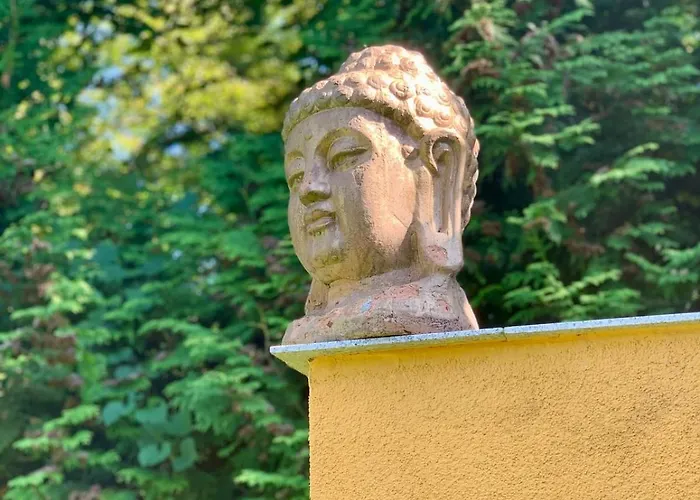 Wieck Am See, Mit Ruderboot Villa Gransee